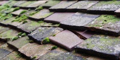 Alveley roof repair costs